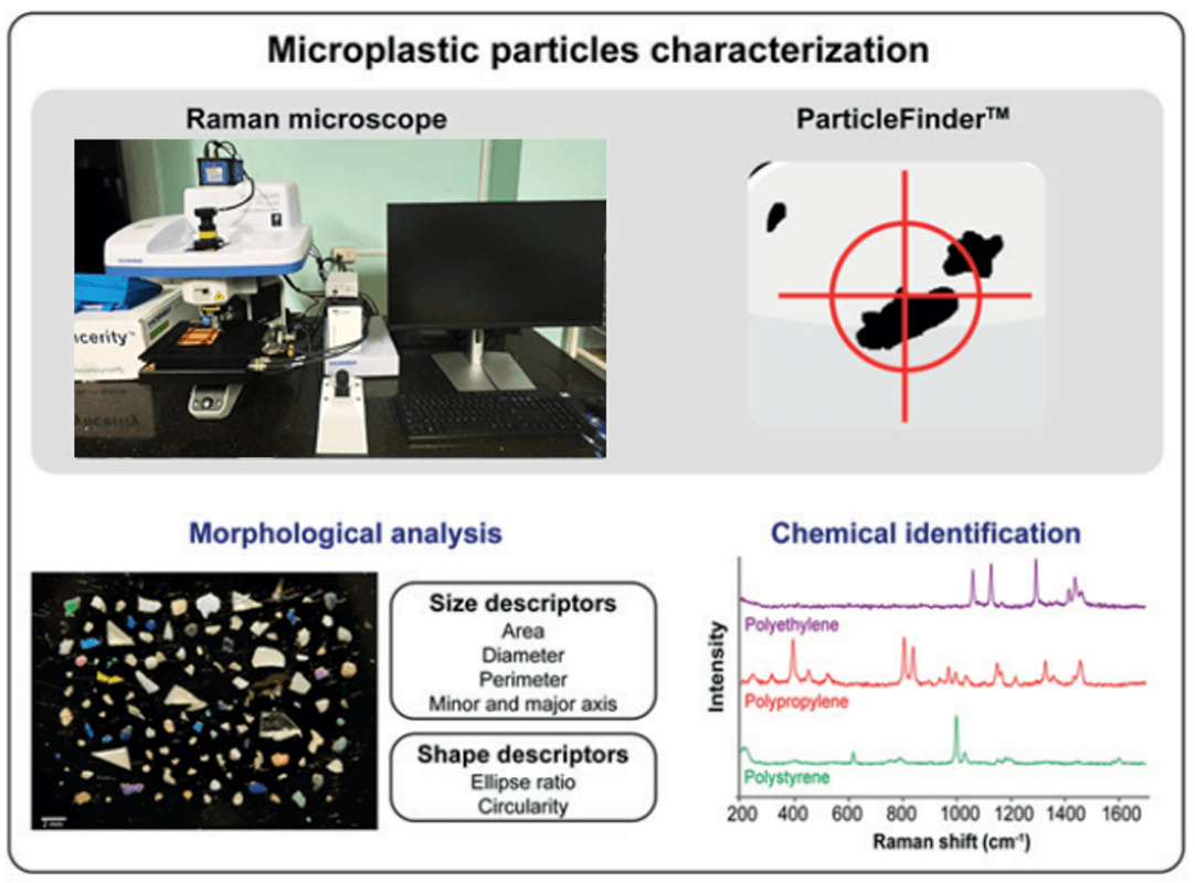 Microplastic characterization and identification by Raman Spectroscopy ...